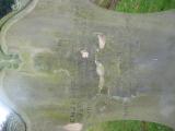 image of grave number 761603